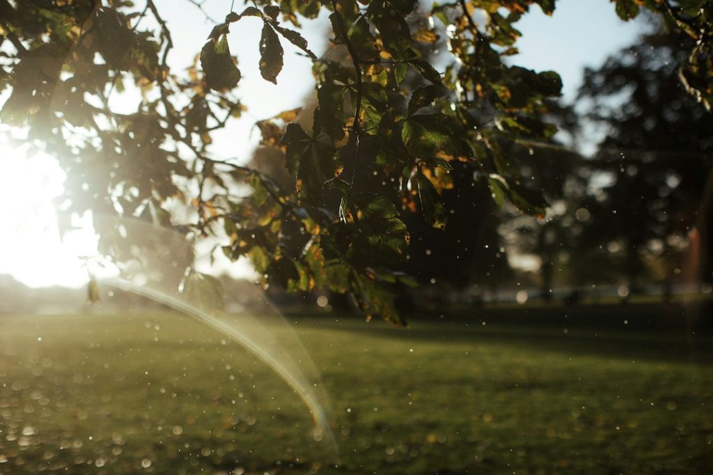 Established green residential landscape representing long-term sprinkler system maintenance
