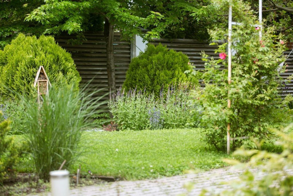 Landscaped residential yard illustrating irrigation maintenance and sprinkler valve repair decisions