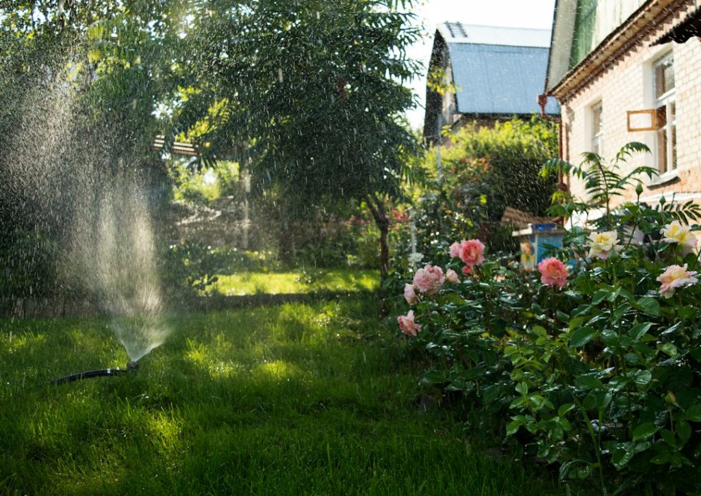 Residential lawn irrigation illustrating water loss from a damaged sprinkler head