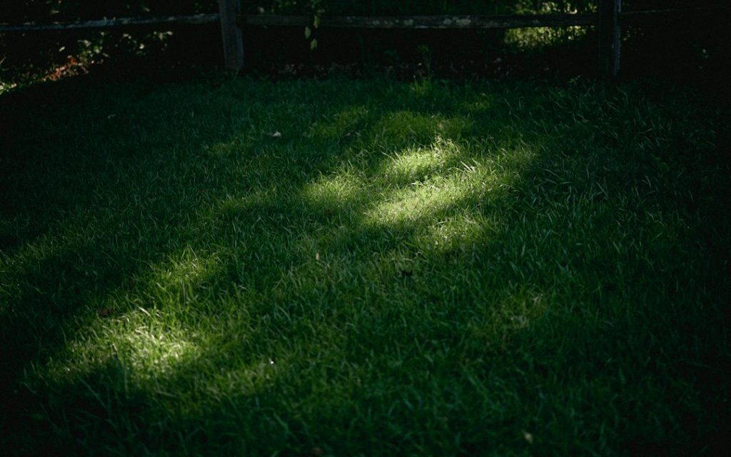 Residential lawn with changing shade illustrating uneven irrigation coverage and dry areas