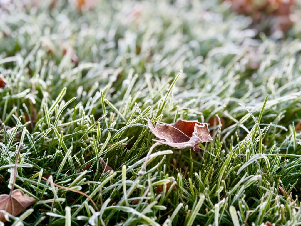 Frost covering a lawn during cold weather illustrating sprinkler winterization risk in Fort Mill