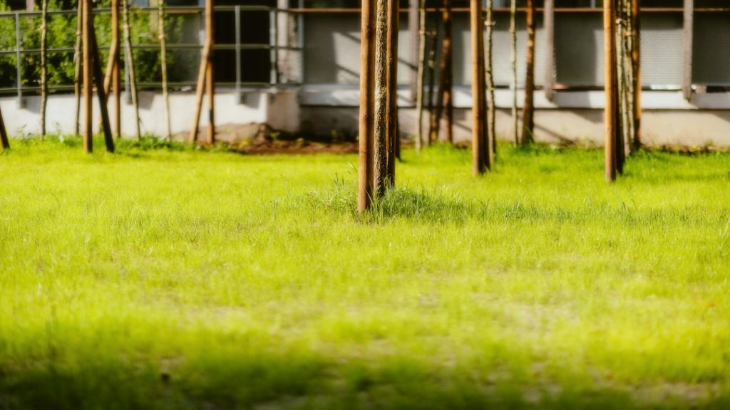 Modern residential lawn setting representing long-term irrigation controller ownership