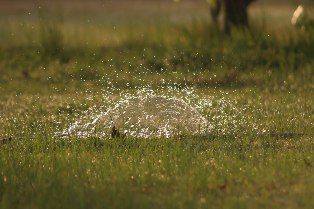 Sprinkler spray over grass illustrating residential irrigation pressure and flow