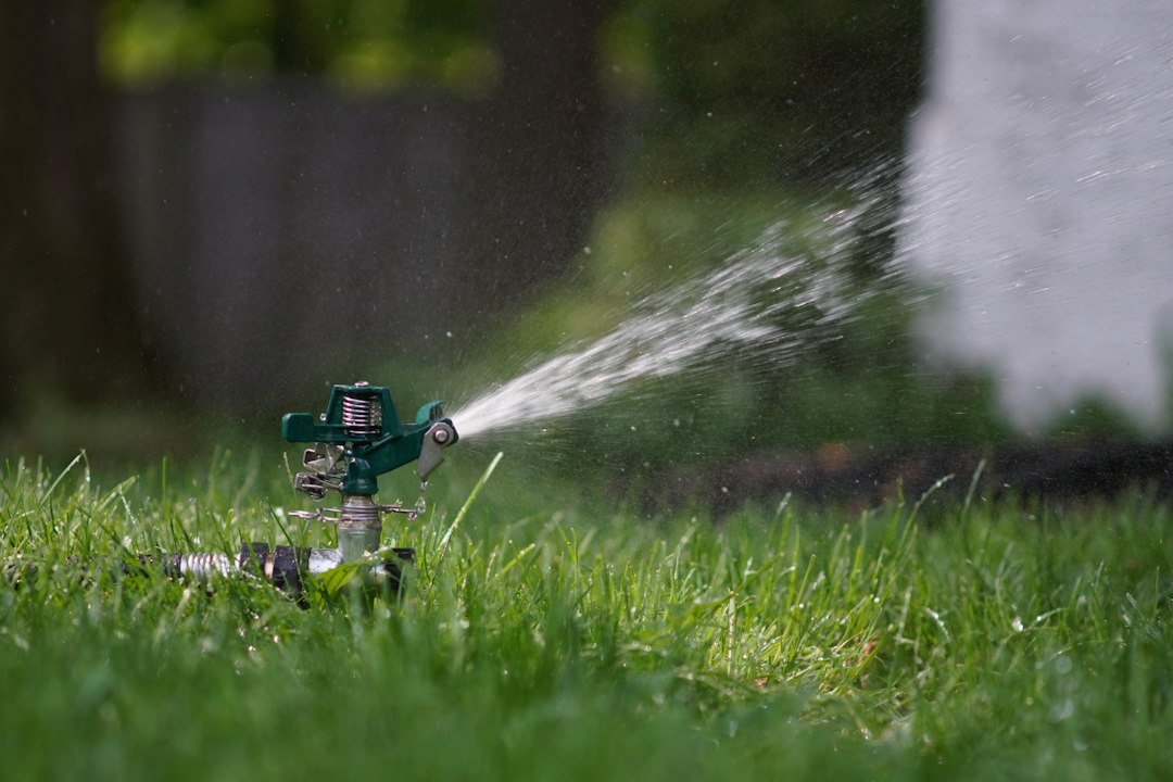 Residential sprinkler watering a lawn during irrigation zone troubleshooting