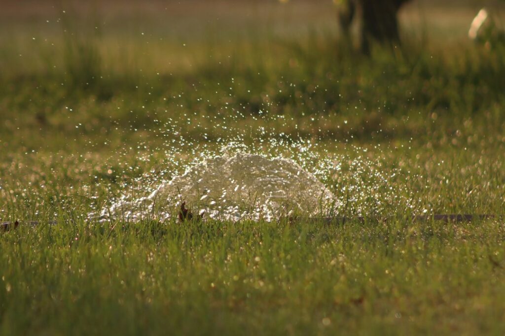 Water spraying across grass while diagnosing an underground irrigation leak